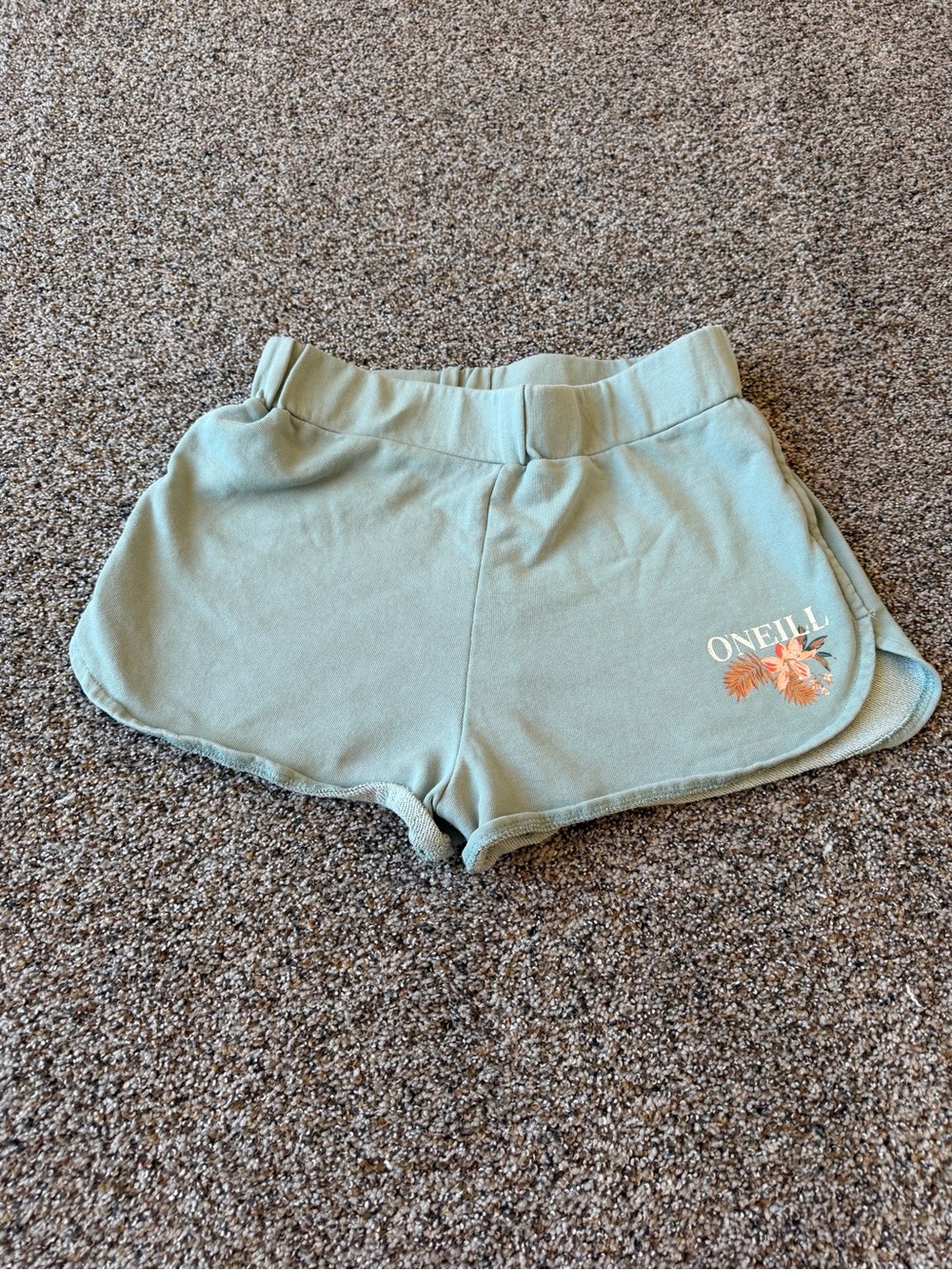 O'Neill Women's Small Sage Green Dolphin Sweat Shorts Tropical Surf Beach